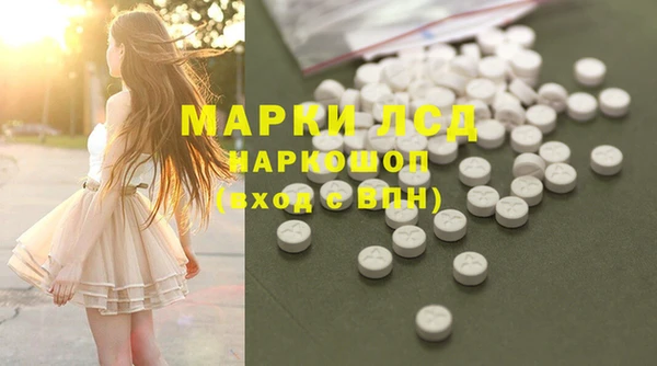 apvp Инсар