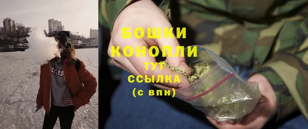 apvp Инсар