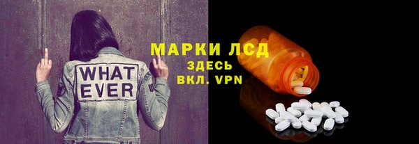 apvp Инсар
