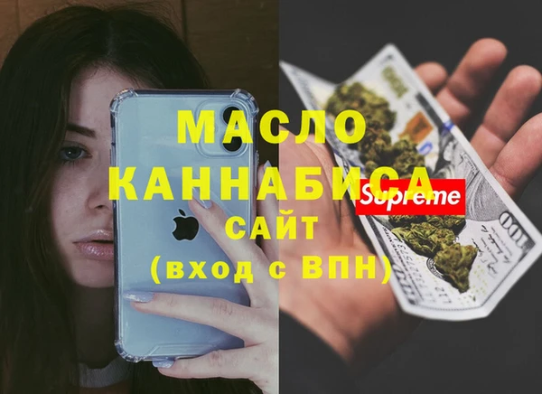 apvp Инсар