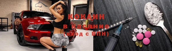 apvp Инсар