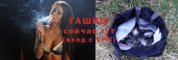 apvp Инсар