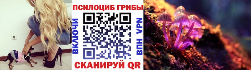 KRAKEN зеркало  Шатура  Галлюциногенные грибы мицелий 