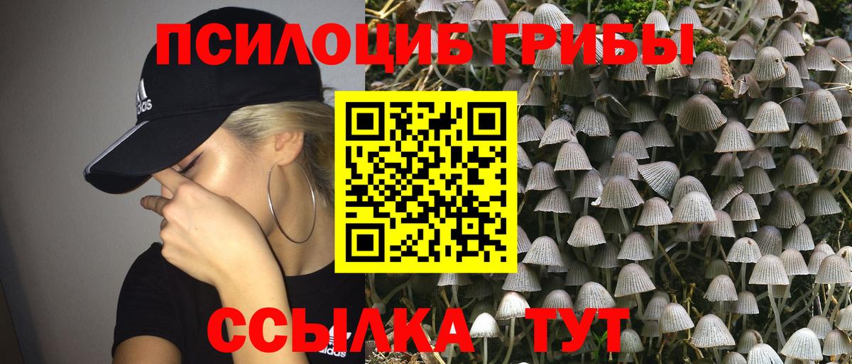 Галлюциногенные грибы ЛСД  Галлюциногенные грибы GOLDEN TEACHER  Шатура 