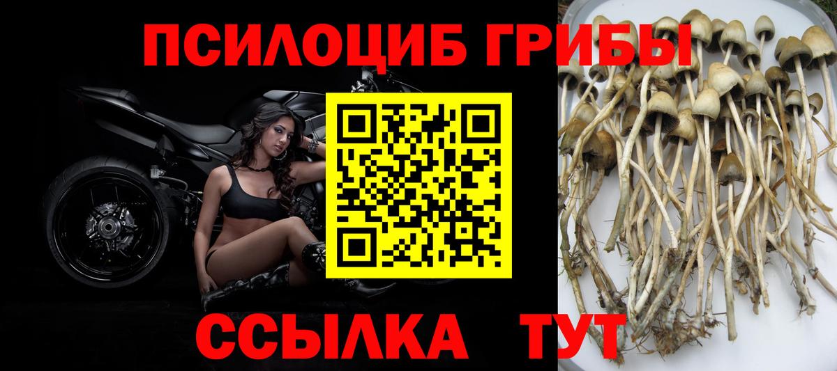 Галлюциногенные грибы MAGIC MUSHROOMS Шатура